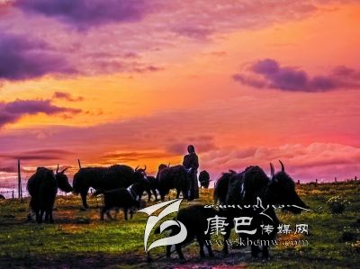 “圣潔甘孜·情歌故鄉”甘孜州國際攝影展(三)