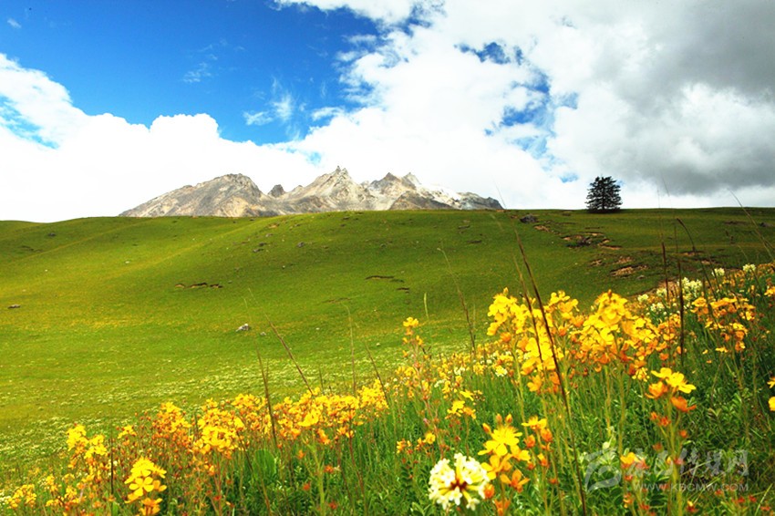 我州的那些云上天堂是觀(guān)看云海的最佳地