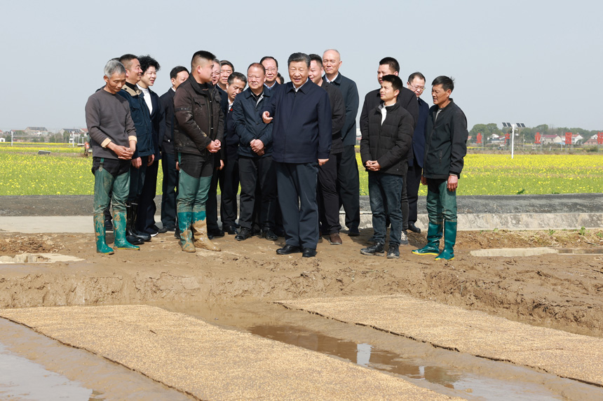 2024年3月18日至21日，中共中央總書(shū)記、國家主席、中央軍委主席習近平在湖南考察。這是19日下午，習近平在常德市鼎城區謝家鋪鎮港中坪村走進(jìn)田間，察看秧苗培育和春耕備耕進(jìn)展。新華社記者 王曄 攝